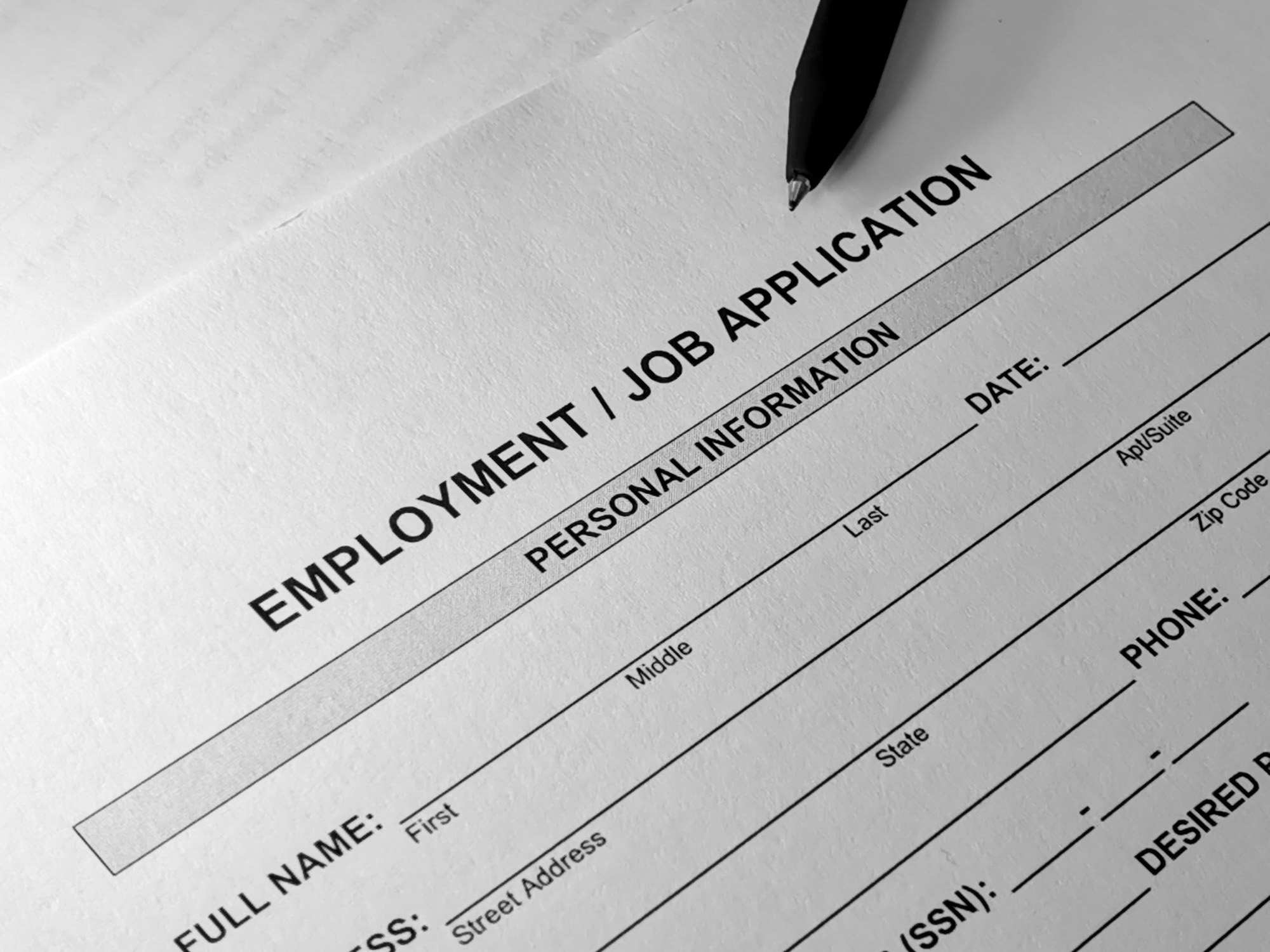 Application image for human resources identification verification