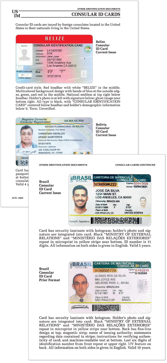 Two consular ID cards from different countries